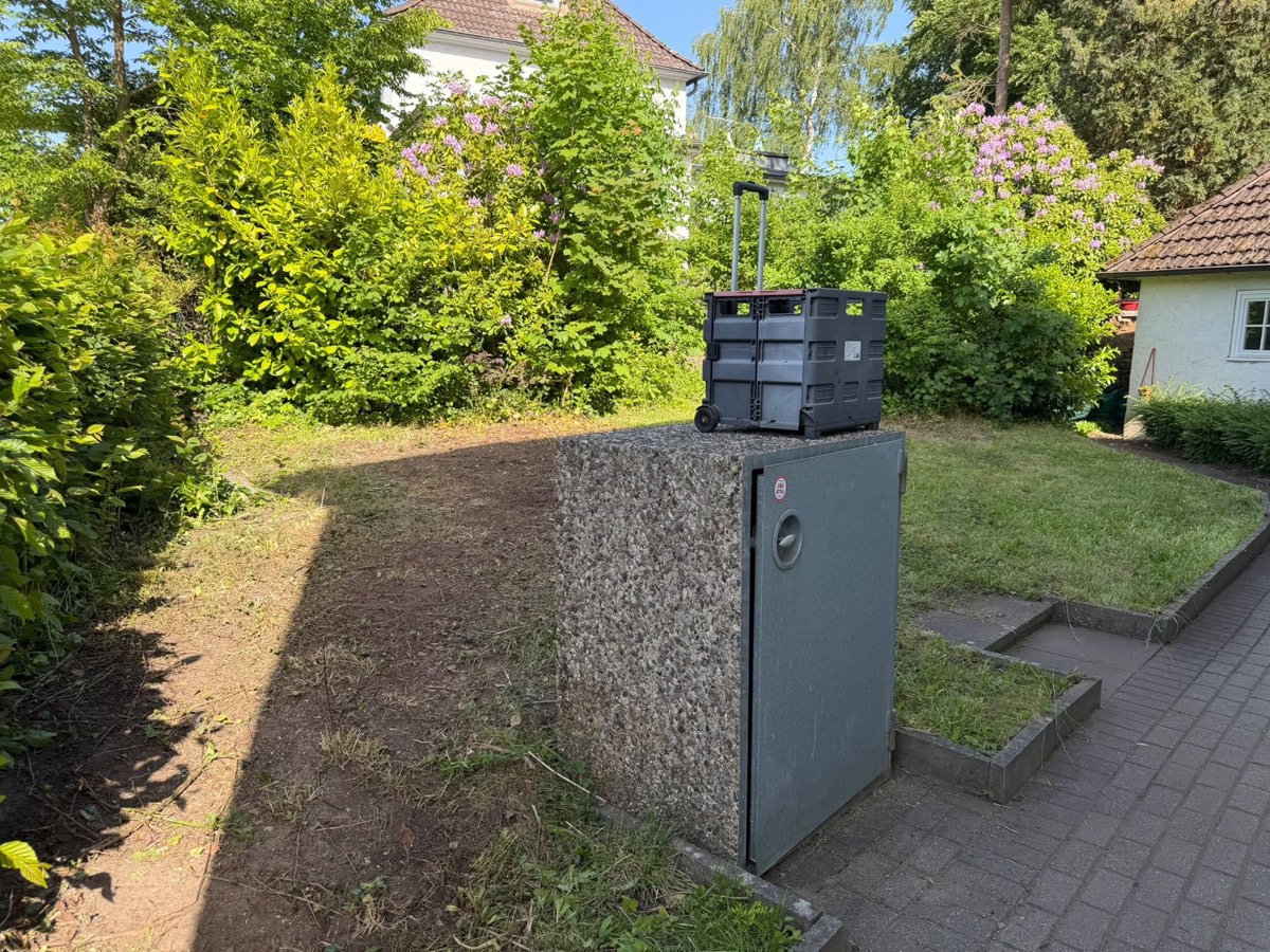 Freigelegte Gartenbereiche und gepflegte Rasenflächen